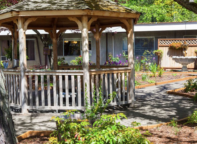 A peaceful garden featuring a wooden gazebo surrounded by plants and pathways.