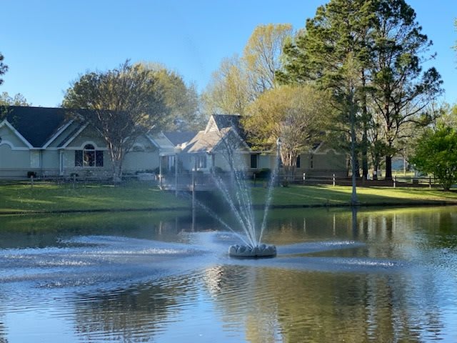 A tranquil scene featuring a fountain in a small lake surrounded by houses and trees.