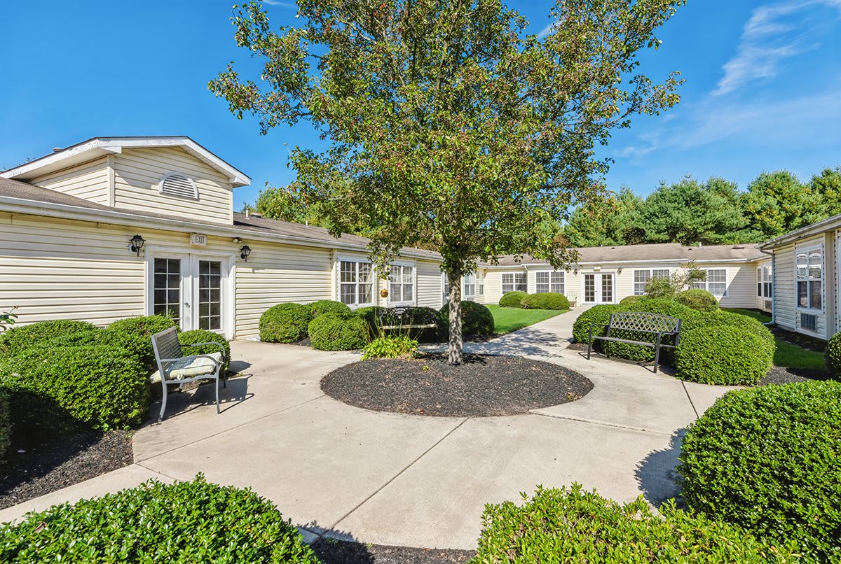 A serene courtyard surrounded by buildings, featuring a tree at the center and benches along the pathway.