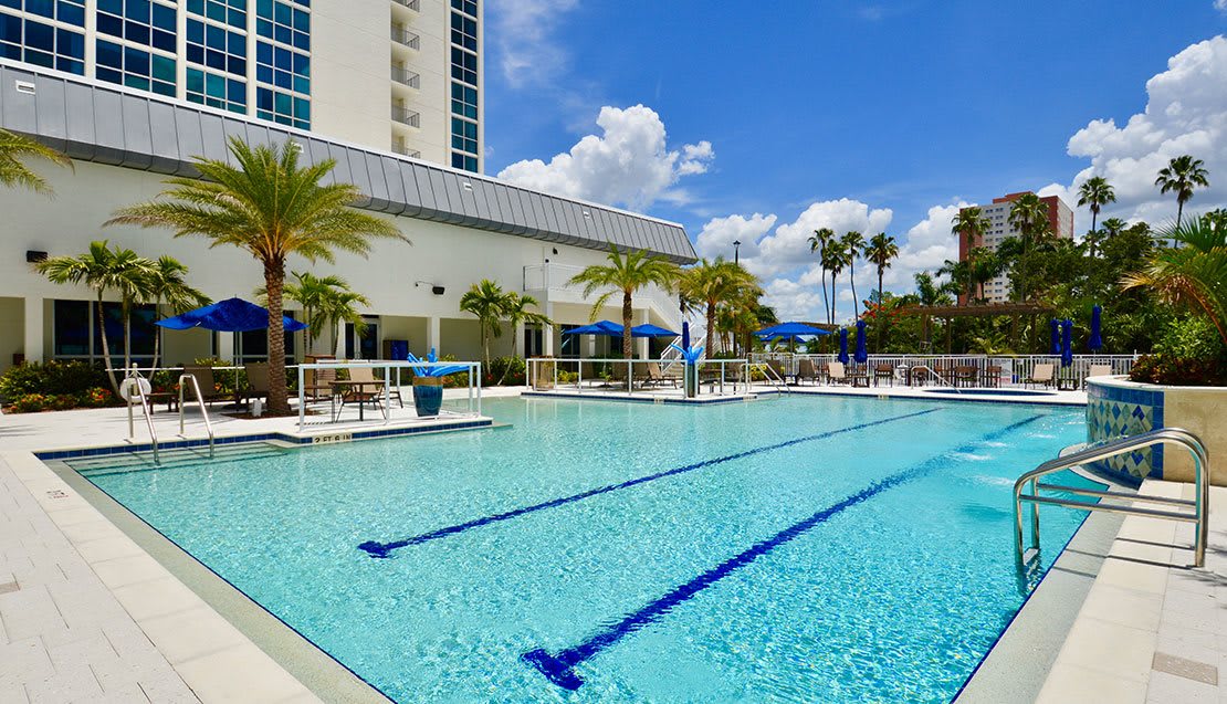 An outdoor swimming pool surrounded by palm trees and lounge chairs on a sunny day.