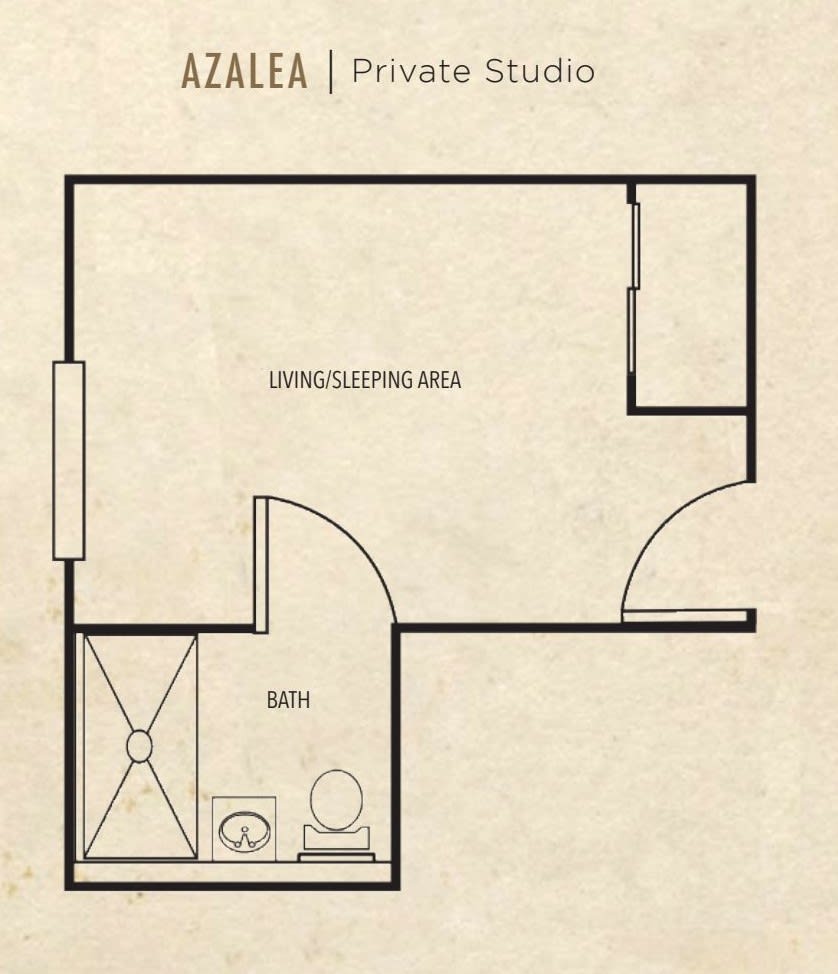 Floor plan of a studio apartment with a living/sleeping area and a bathroom.