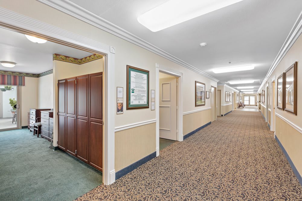 A well-lit building hallway with carpeted floors, doors on both sides, and framed art on the walls.