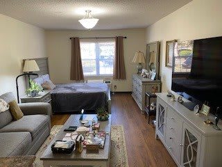 A cozy studio apartment with a combined living and sleeping area.