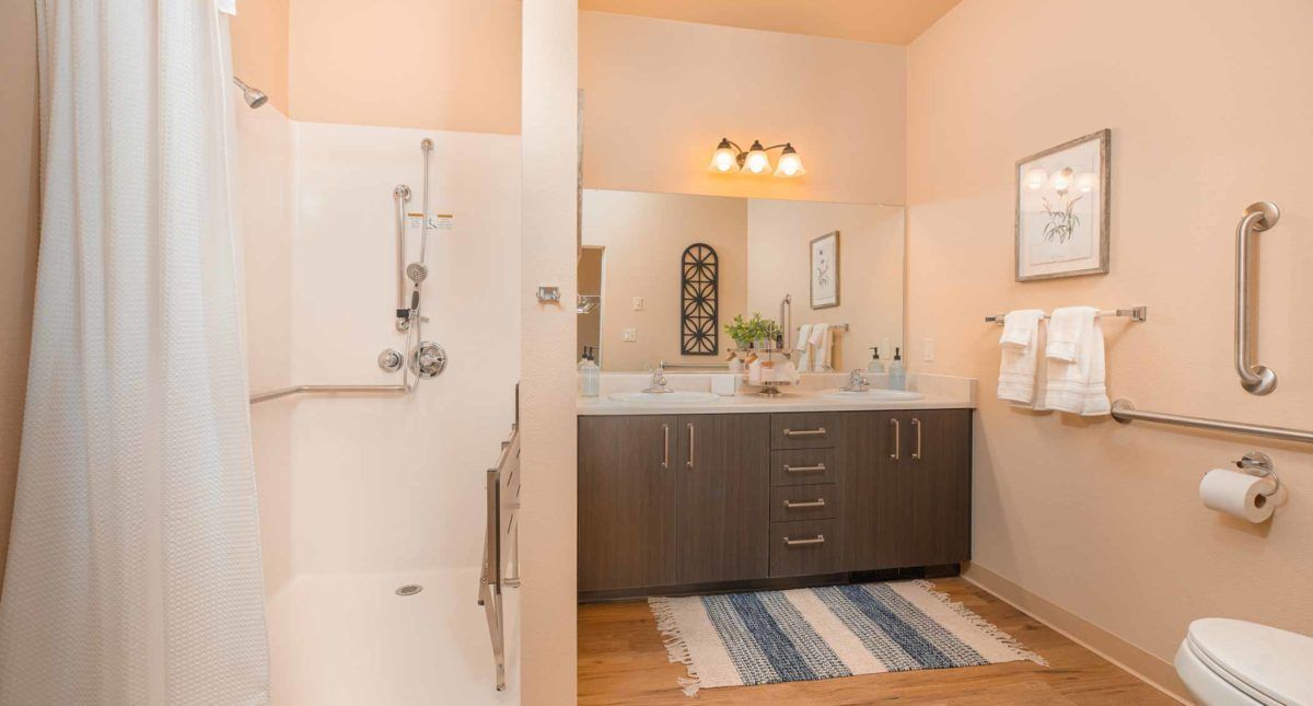 A modern bathroom featuring a shower and a double-sink vanity with a large mirror, complemented by a striped rug on the wooden floor.