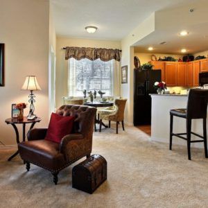 A cozy living space with an open floor plan featuring a comfortable seating area, adjacent dining table, and view into the kitchen.