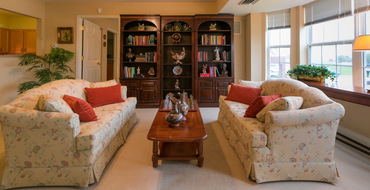A cozy living room featuring two sofas with red cushions, a wooden coffee table, and bookshelves filled with books and decorations.