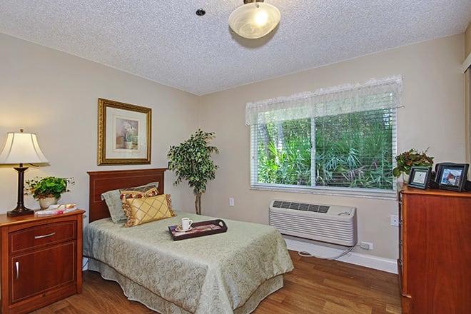 A cozy bedroom with a single bed, window view, and indoor plant.