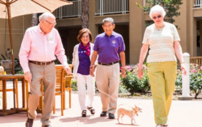 A group of seniors enjoy a sunny day walking with a small dog.