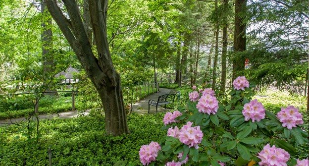A serene garden scene with a bench under trees, surrounded by blooming flowers.