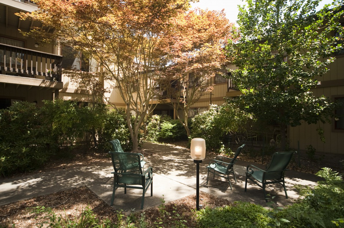 A serene garden setting with chairs surrounded by lush trees and greenery.