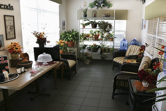 A cozy indoor space filled with plants and comfortable seating.