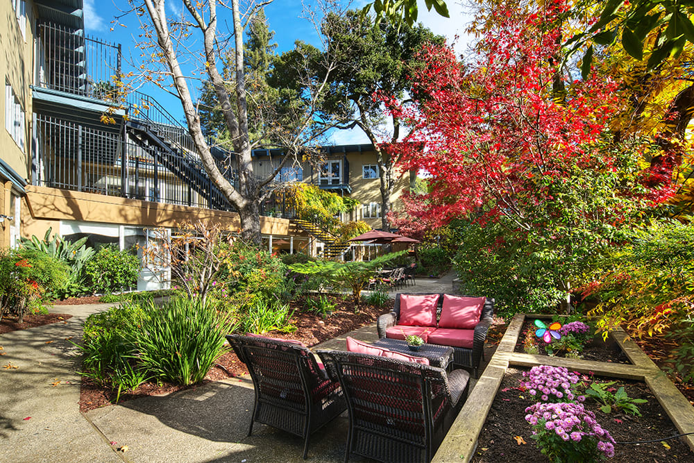 A cozy outdoor seating area surrounded by colorful autumn foliage.