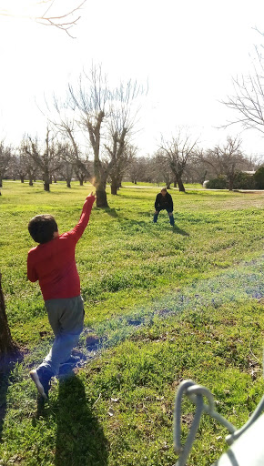 Two children playing outdoors in a grassy field surrounded by trees.