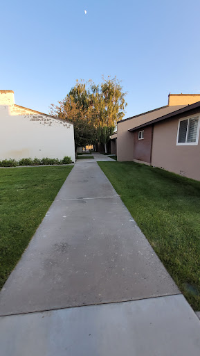 A serene pathway leading through a residential area with well-maintained grass and buildings on either side.