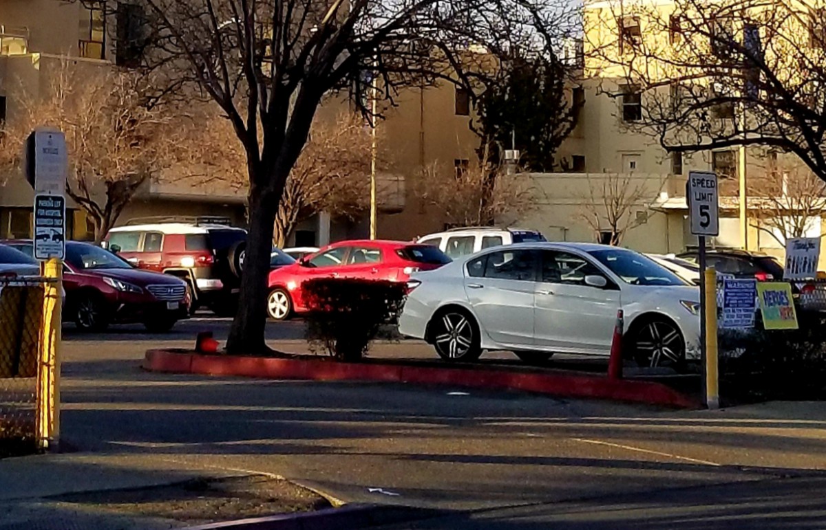 A parking lot filled with various cars under the shade of trees on a sunny day.