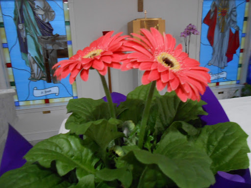 Villa Raffaella Assisted Living Community