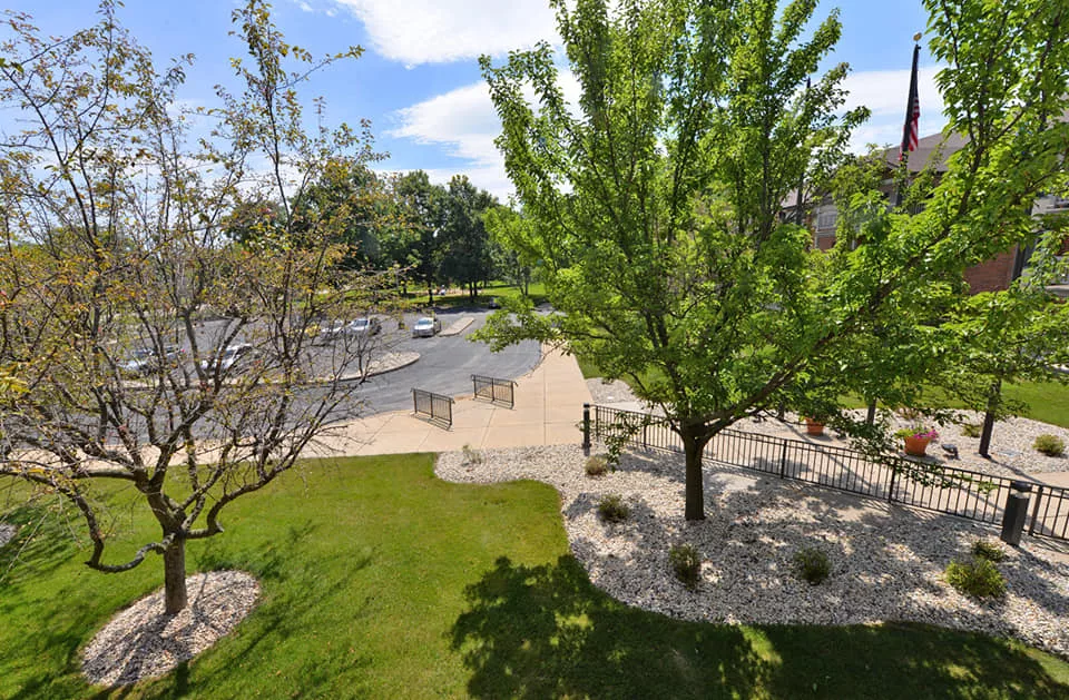 A serene outdoor park with lush green trees and a winding pathway.