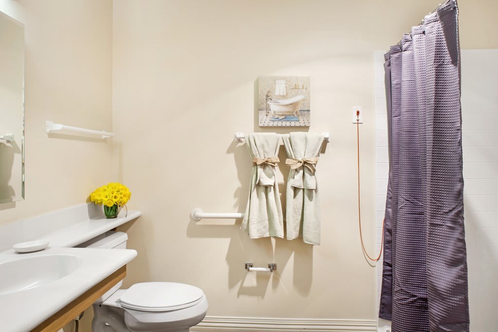 A neatly organized bathroom with a toilet, decorative hand towels, and a shower curtain.