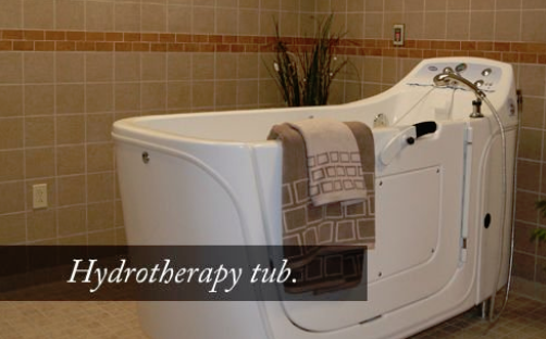A modern hydrotherapy tub designed for relaxation and therapeutic treatments.