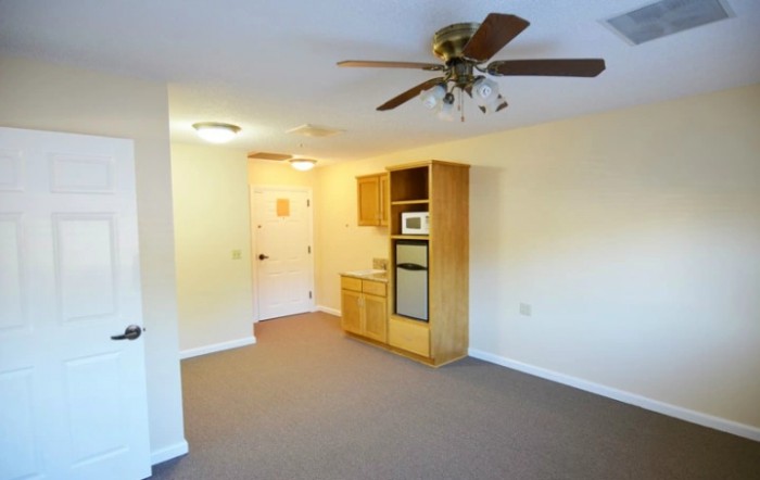 A small apartment interior featuring a kitchenette with a microwave and oven, carpeted floor, ceiling fan, and light fixture.