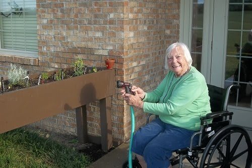 An elderly woman in a wheelchair is watering her garden outdoors.