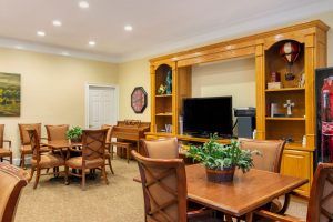 A cozy living room featuring a dining area, television, and wooden shelves adorned with plants.