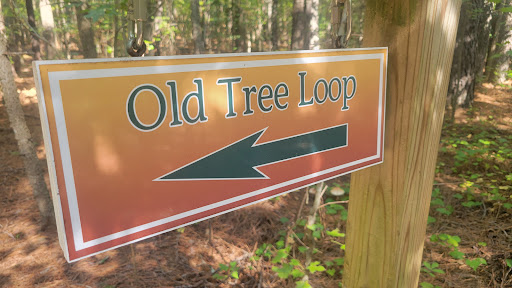 Sign indicating the direction to the Old Tree Loop trail.