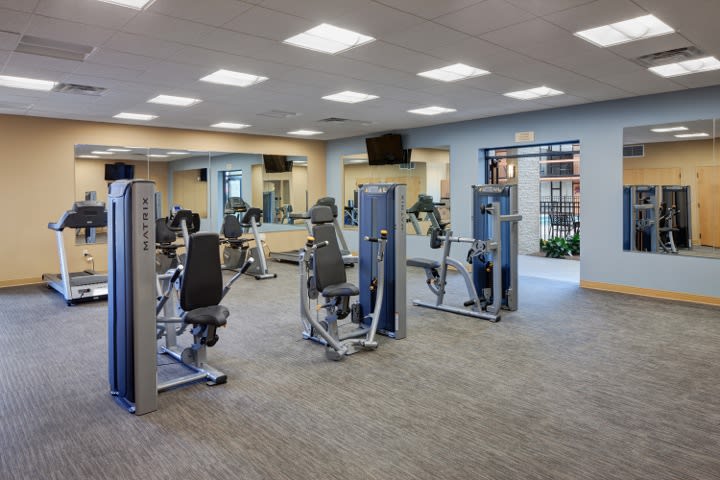 A modern gym equipped with various exercise machines.