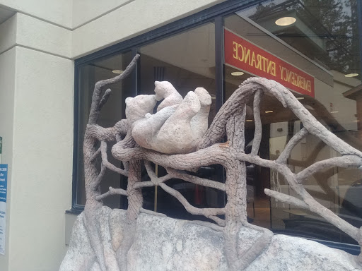 A creative sculpture featuring a resting figure intertwined with tree branches.