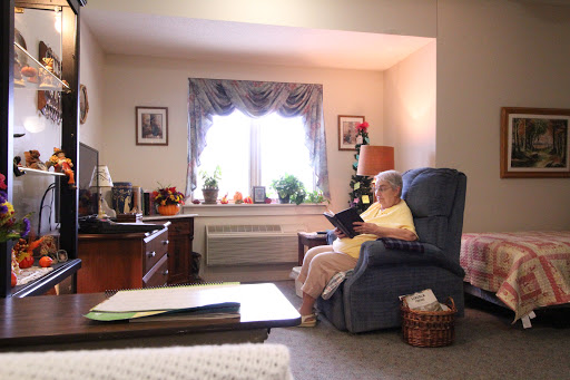 An elderly individual enjoying a quiet moment while reading in a cozy living room, filled with soft natural light.