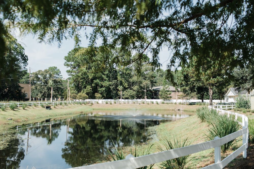 A serene pond surrounded by lush greenery and trees, reflecting the natural landscape.