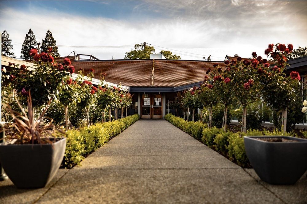 A picturesque pathway lined with lush rose bushes leading to a building under a cloudy sky.