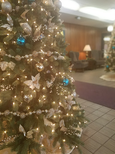 A beautifully decorated Christmas tree with white butterflies and blue ornaments, glowing with warm lights in a cozy interior setting.