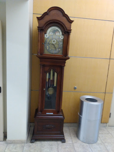 An elegant grandfather clock stands in a modern interior space.