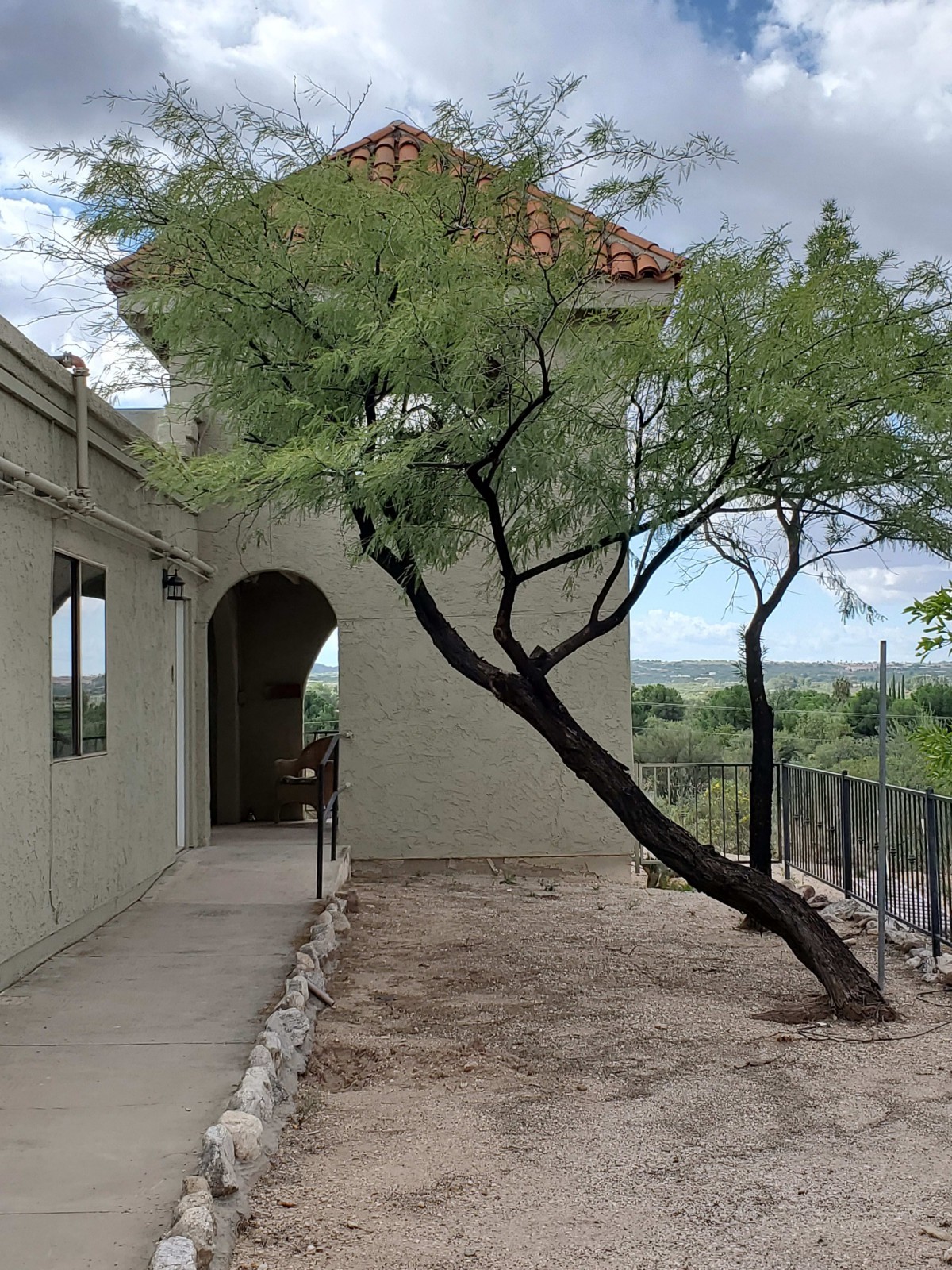 A tree leaning towards a building with an archway and a pathway leading alongside.