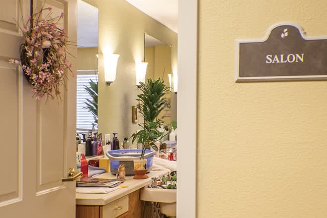 A well-lit bathroom with various toiletries around the sink and a plant for decoration.