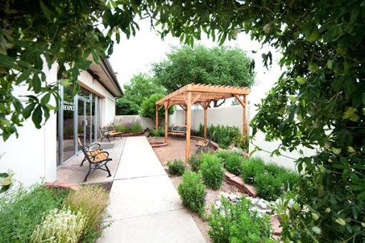 A serene garden featuring a pergola, benches, and lush greenery.