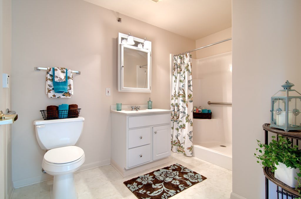 A modern bathroom with a floral-themed decor, featuring a sink with a mirror cabinet, toilet, and shower area.