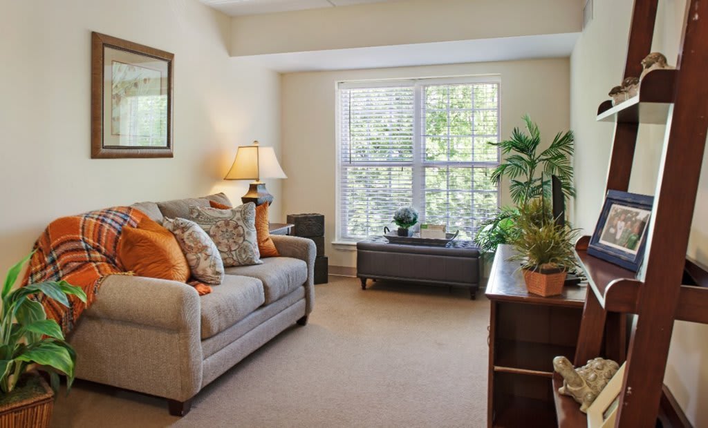 A cozy living room with a sofa, lamp, houseplants, and a large window.