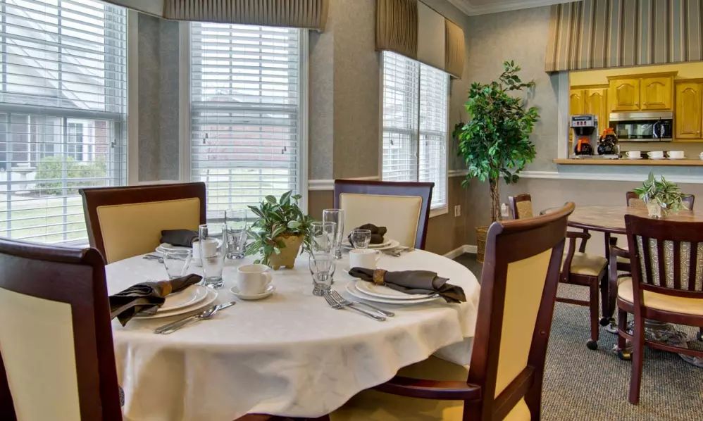 An elegantly set dining table in a well-lit room with plants and comfortable chairs.