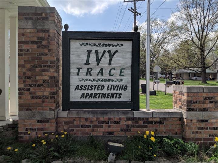 Ivy Trace