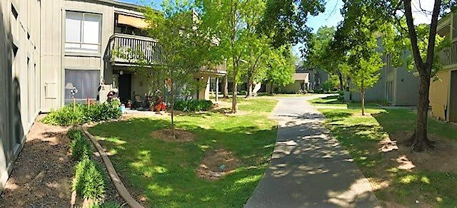 A sunny residential area with an apartment complex, surrounded by trees and a well-maintained lawn.