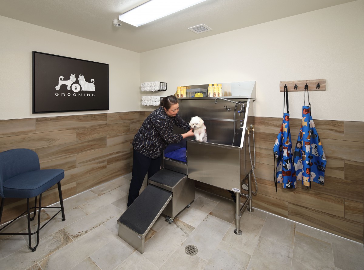 A groomer washing a dog in a pet grooming station.