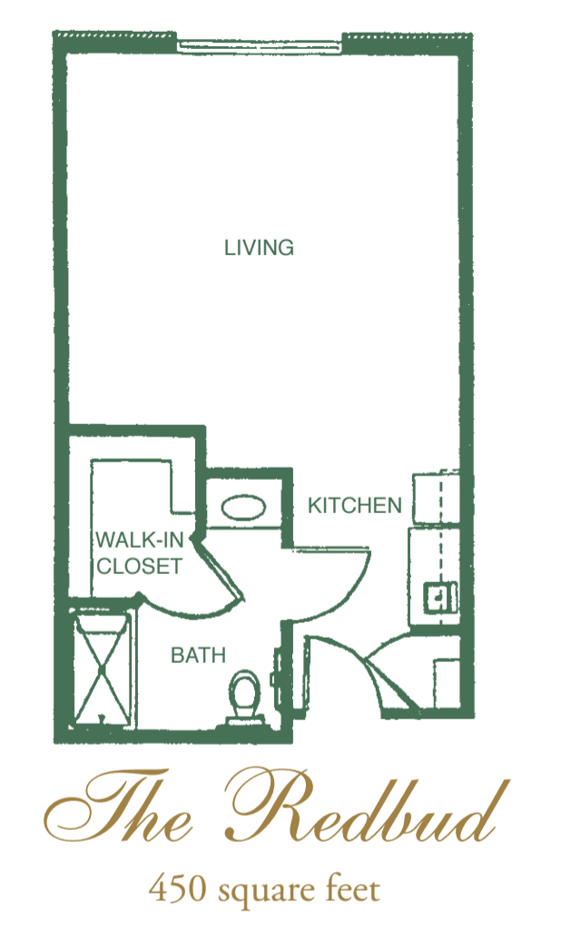 A studio apartment floor plan with a living area, kitchen, bathroom, and walk-in closet.