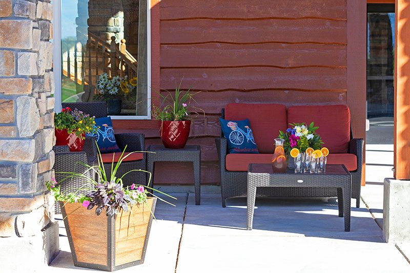 A sunny patio with comfortable seating, vibrant plants, and decorative pillows.