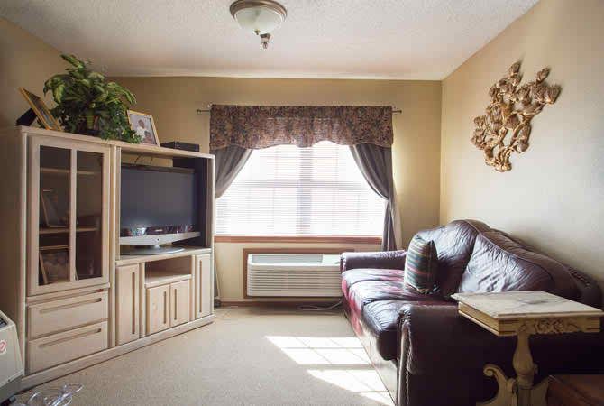 Cozy living room with a sofa and TV, featuring sunlight streaming through the window.