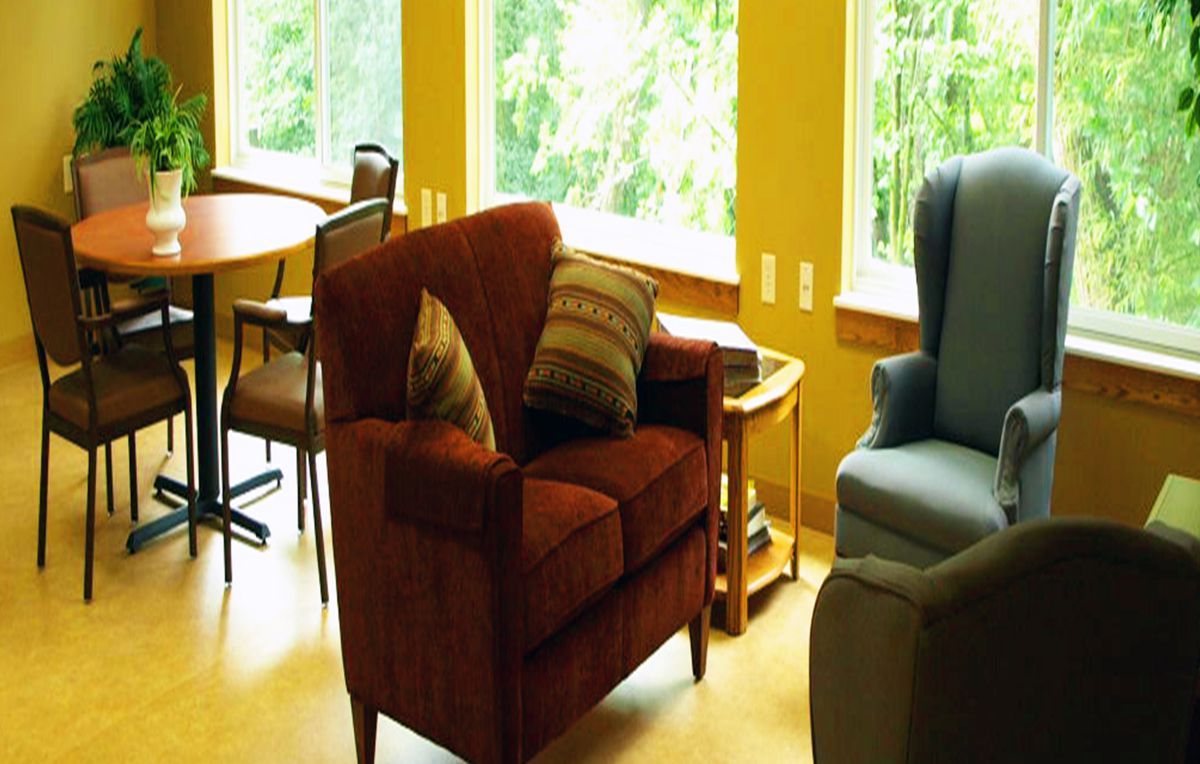 A cozy living room with an armchair and cushions by the window, letting in natural light.