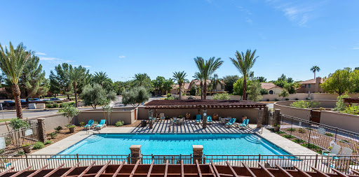 A serene outdoor pool area surrounded by palm trees, perfect for relaxation on a sunny day.