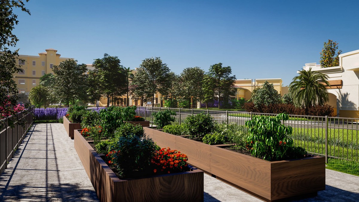 A vibrant rooftop garden with planter boxes filled with various plants and vegetables, set against a backdrop of trees and a clear blue sky.