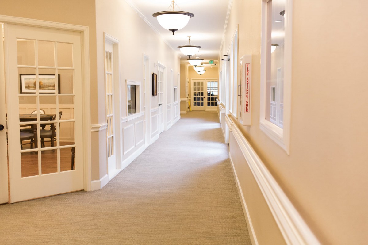 A well-lit hallway with doors and elegant interior design.